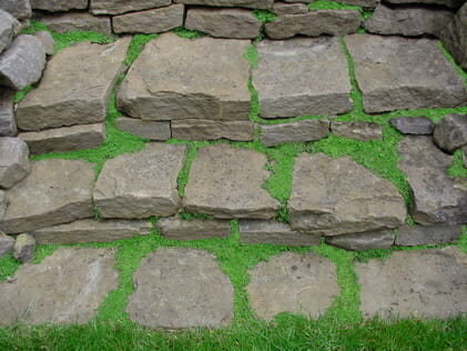 A set of Mint 'Corsican' 6" Pot steps with grass growing on them.
