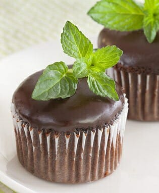 Two Mint 'Chocolate' 4" Pot cupcakes with mint leaves on a plate.