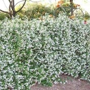 Screen Shot 2017-09-07 at 6.36.16 PM