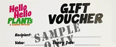 Gift Voucher copy