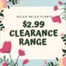 $2.99 Clearance Sale
