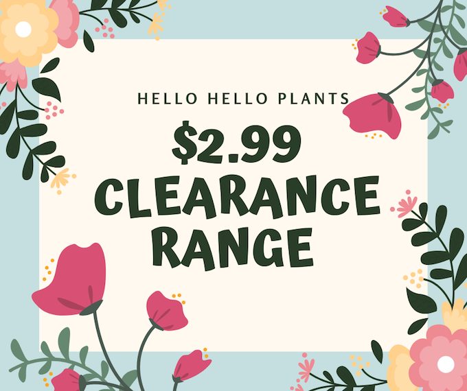 Feature image $2.99 Clearance Sale