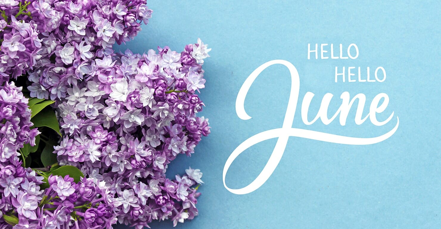 Feature image A graphic with purple lilac flowers on the left and the text "Expert Tips for Gardening" in white cursive on a blue background.