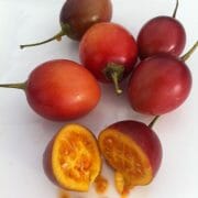 TAMARILLO
