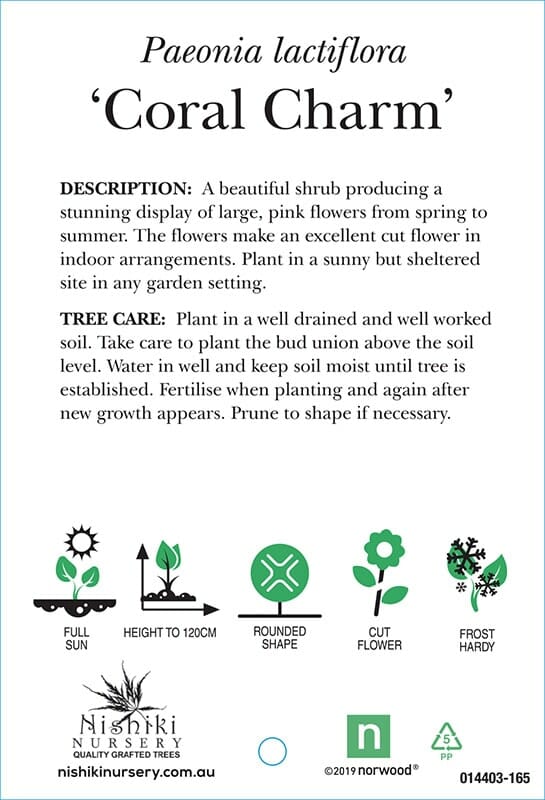 Label for a plant named Paeonia 'Coral Charm' Peony Rose describes its characteristics, care instructions, and includes icons for full sun, height up to 120cm, rounded shape, cut flowers, and flowering information.
