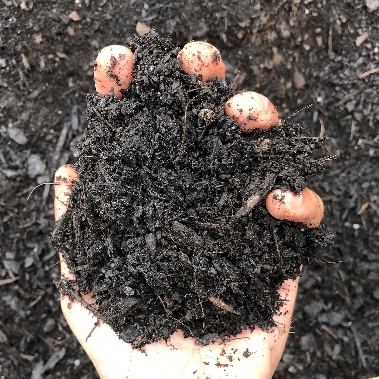 A hand holding a pile of rich, dark potting mix with bits of organic matter. The background is filled with more of the same type of soil, reminiscent of what you’d find in a Premium Potting Mix/Soil 10L Bag ready for your gardening needs.