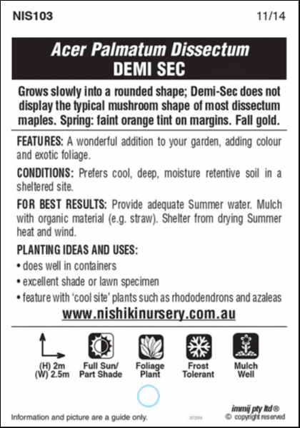 Label for Acer 'Demi Sec' Japanese Maple in a 13'' pot, highlighting features, ideal conditions, planting ideas, and website nishiknursery.com.au. Includes symbols for height, sunlight requirements, foliage type, frost tolerance, and mulch recommendations.