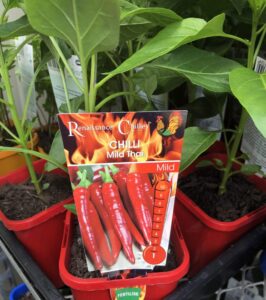A Capsicum 'Thai Mild' Chilli Pepper in a 4" pot, labeled with red chili peppers and a mild heat scale, sits among other green plants.