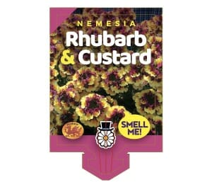 Illustration of a plant tag highlighting "Nemesia 'Rhubarb and Custard'" with the engaging text "Smell Me!" and a whimsical drawing of a flower wearing a top hat and monocle, ideal for planting in a delightful 6" pot.