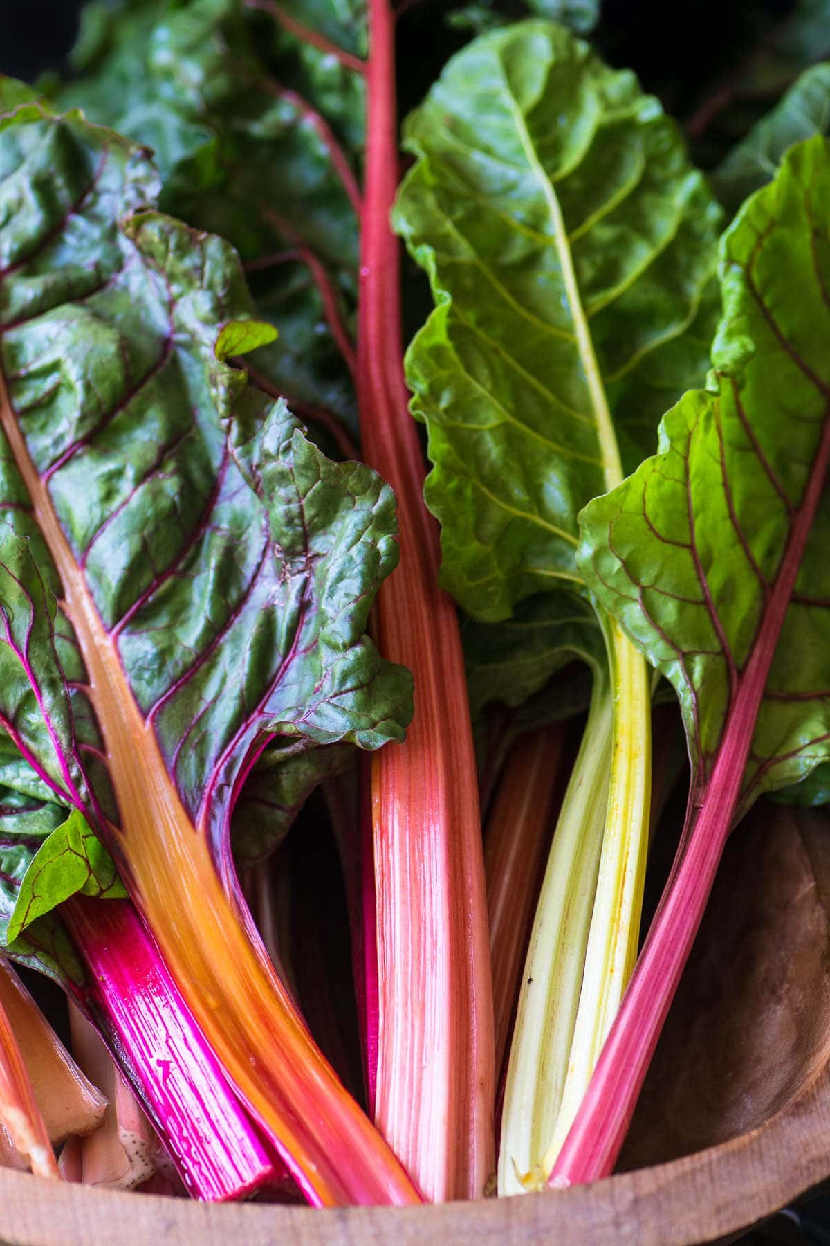 Capture the stunning colors of Silverbeet 'Rainbow Chard' with its lush green leaves and striking stalks in pink, red, and yellow hues. Ideal for planting in your garden or placing on a windowsill, this vibrant plant comes conveniently potted in a 4" pot.