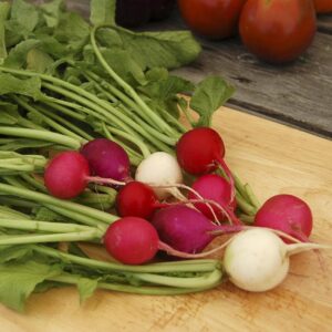 A cluster of Radish 'Lollipop' from a 4-inch pot, displaying an array of bright colors and green leaves, laid out on a wooden cutting board.