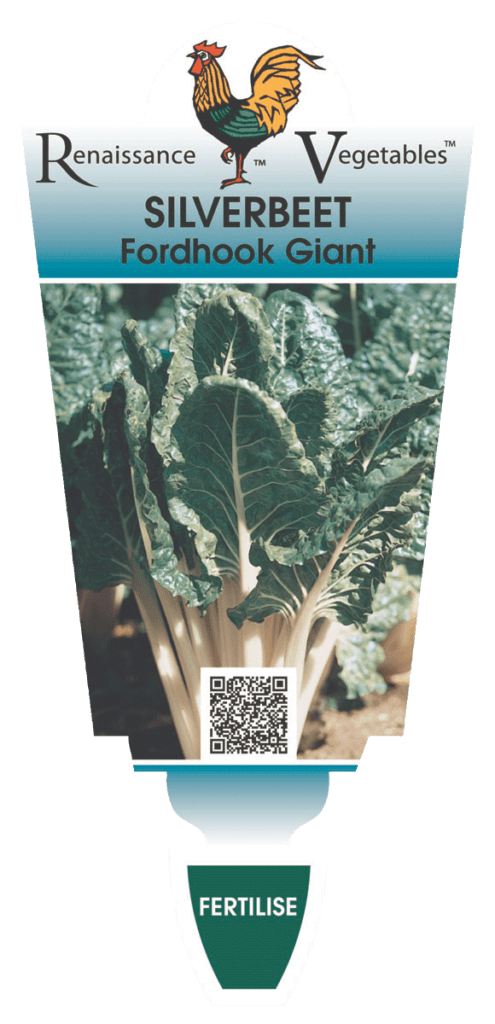 Packet for Silverbeet 'Fordhook Giant' showcasing a vibrant image of lush leafy greens and a QR code, labeled "Fertilize.