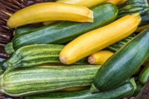 A basket filled with Zucchini 'Green and Gold' from a 4" pot, ready to add vibrant flavor to your meal.