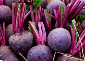 A close-up view of several Beetroot 'Baby' plants in a 4" pot, showcasing their vibrant purple-red stems and leaves.