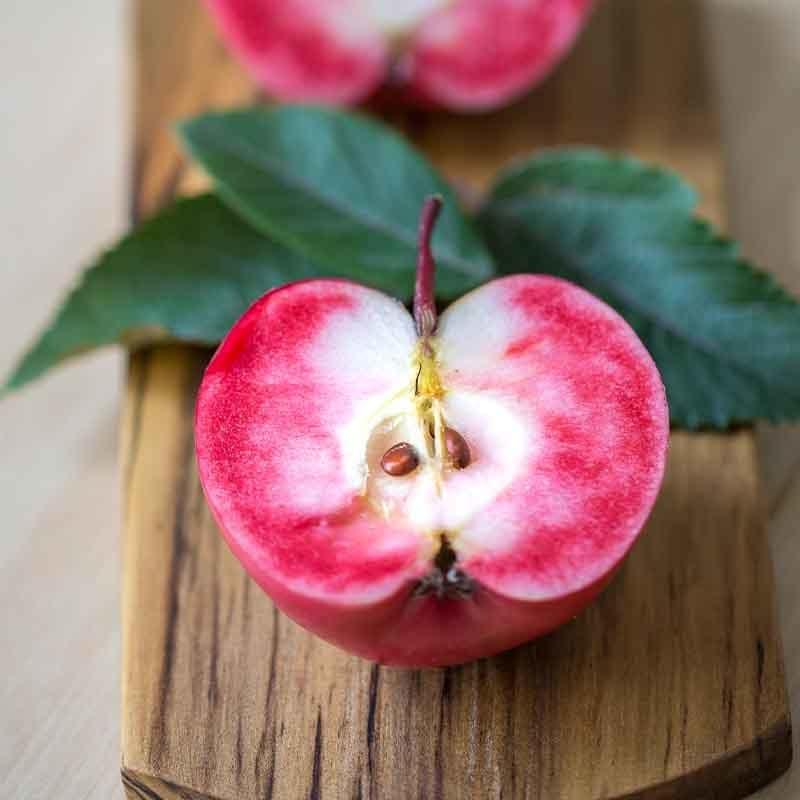 A Malus 'Magnus Summer Surprise' Apple 10" Pot, featuring a red apple with pink flesh cut in half to show the seeds, sits on a wooden board with green leaves next to it.