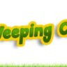 Banner with the text "FREE Weeping Cherry!!!" in bold yellow-green letters, flanked by two illustrated weeping cherries adorned with vibrant pink blossoms.