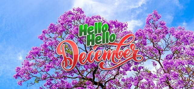 Purple flowering tree with blue sky background. Text overlay reads "Hello Hello December" in green and red decorative font, capturing the magic of December in the Garden.