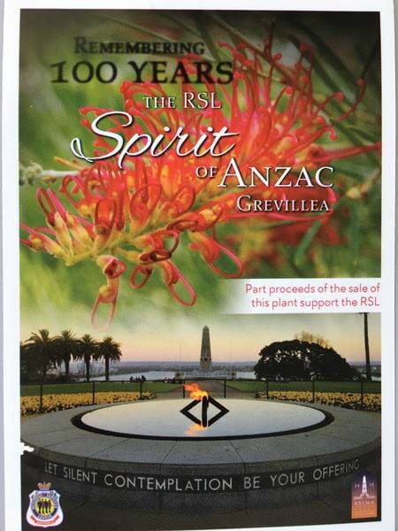 Poster showcasing a vibrant Grevillea flower and the Eternal Flame memorial, promoting the Grevillea 'RSL Spirit of Anzac' 6" Pot, with proceeds proudly supporting the RSL.