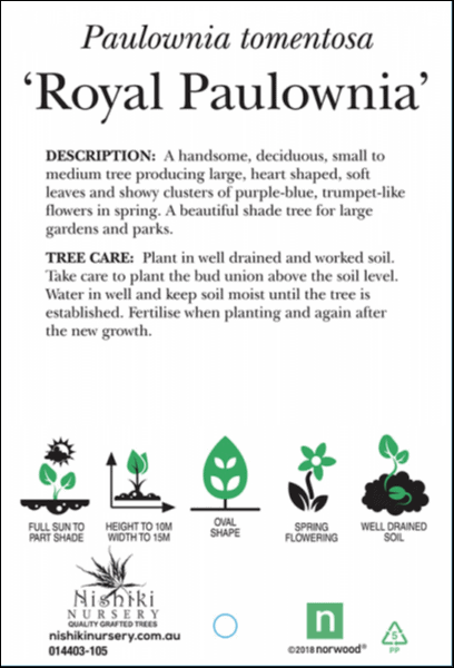Paulownia 'Empress Tree' 8" Pot—informational label features care instructions, plant characteristics, icons, and nursery contact details.