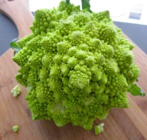 A vibrant Broccoli 'Romanesco' 4" Pot, with its mesmerizing fractal patterns, sits elegantly on a wooden cutting board, ready to transform any dish into a culinary masterpiece.