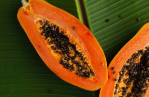 A halved Paw Paw 'Red' papaya from a 6" pot rests elegantly on a large green leaf backdrop, its black seeds glistening.