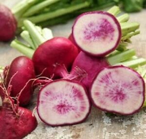 Sliced 'Hida Beni Red' watermelon radishes, known for their pink centers and rough red-purple skin, are elegantly arranged on a wooden surface, offering a vibrant contrast akin to the earthy allure of turnips.
