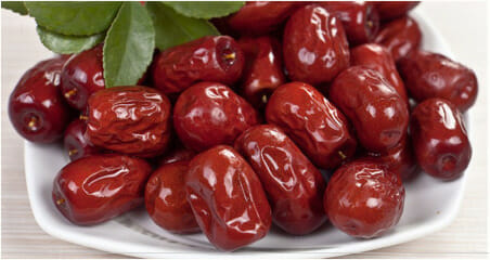 Ziziphus 'Jujube' Chinese Date 8" Pot