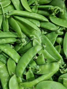A close-up of fresh Pisum 'Snow Pea' 4" Pot pods, highlighting their smooth green surfaces and attached stems.