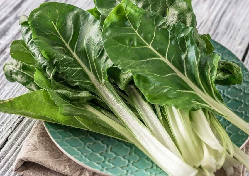 Silverbeet 'Swiss' Chard 4" Pot