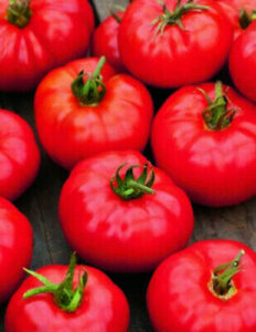 Several ripe, red 'Burnly Bounty' tomatoes with green stems rest on a wooden surface, highlighting their vibrant freshness.