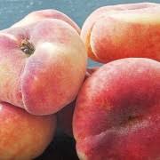 Four flat, fuzzy Angel™ Peaches (Prunus 'Angel™ Peach' Dwarf) with reddish-yellow skin are grouped together on a dark surface. 7" Pot.