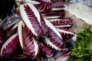 Radicchio 4" Pot