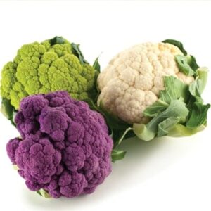 Cauliflower 'Colourful Blend' 4" Pot