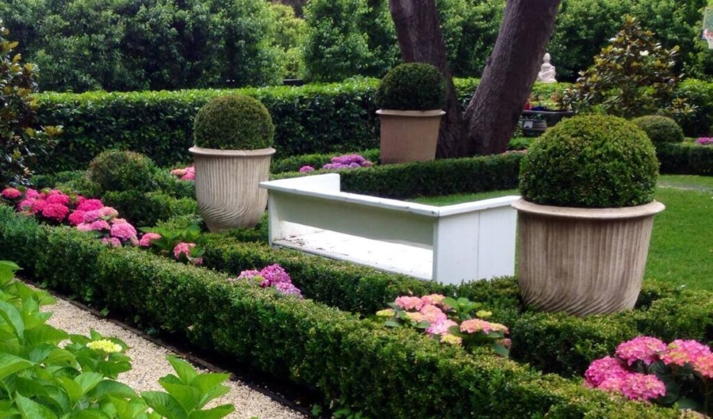 Hello Hello Plants Nursery Campbellfield Melbourne Victoria Australia Andrew Stark Landscape Garden Design topiary hedging hydrangea buxus english box