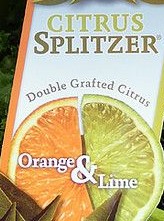 A sign labeled "Citrus Splitzer 'Lime and Orange' 4L Pot" shows half an orange and half a lime, showcasing this unique double-grafted plant that combines both lime and orange in one.