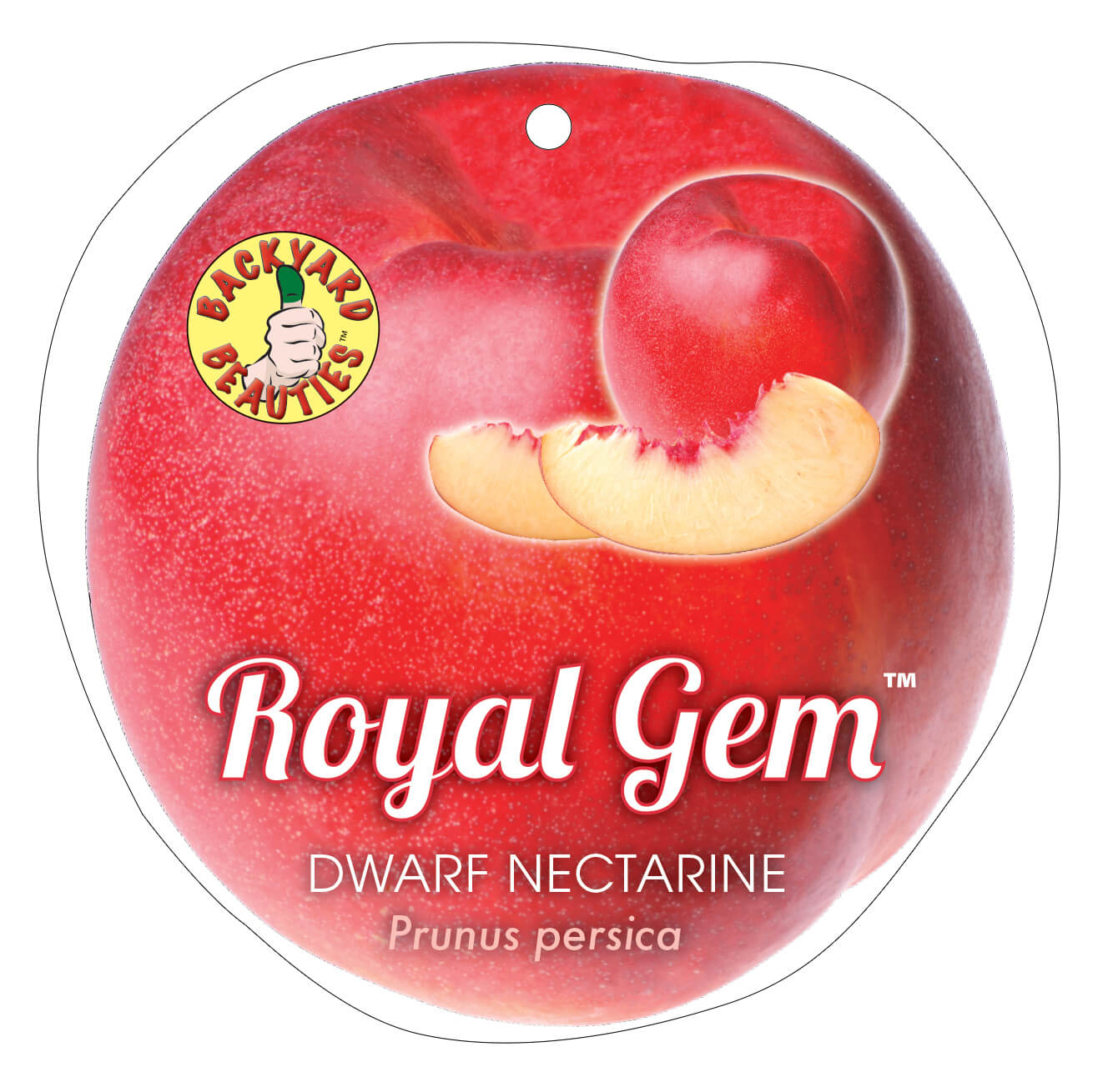 Prunus 'Royal Gem™' Dwarf Nectarine