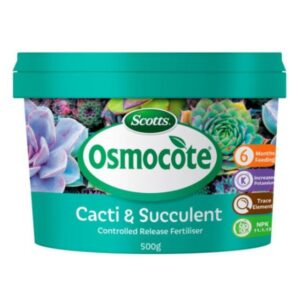 A 500g pack of Osmocote Controlled Release Fertiliser: Cacti and Succulent, with clear labels and images of healthy succulents on its packaging.