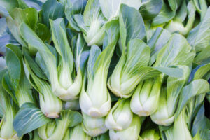 Bok Choy 4" Pot features fresh green leaves and white stems, ideal for planting directly in your garden or keeping in its 4-inch pot.