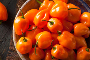 A bowl of fresh Capsicum 'Habanero Orange' chillies, some with green stalks, sits on dark wood—ideal for planting in your 10cm pot garden.