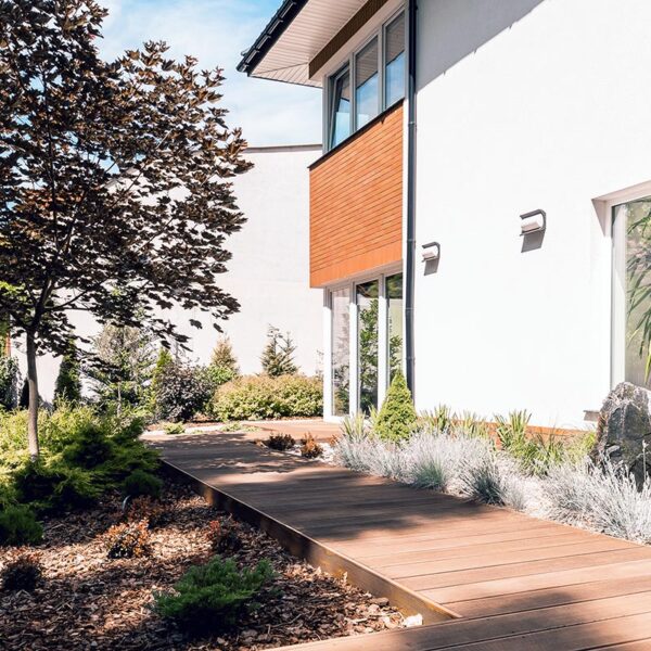 A modern fusion garden with an interesting mix of plants