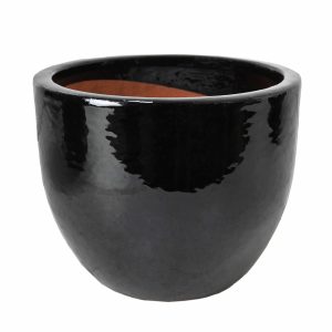 A Glazed Squat Egg pot black for feature plants