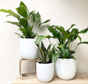 Mojay Lightweight White GardenLite Pots