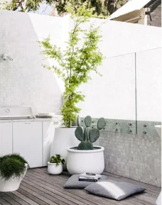 Plants in pot on balcony, outdoor area