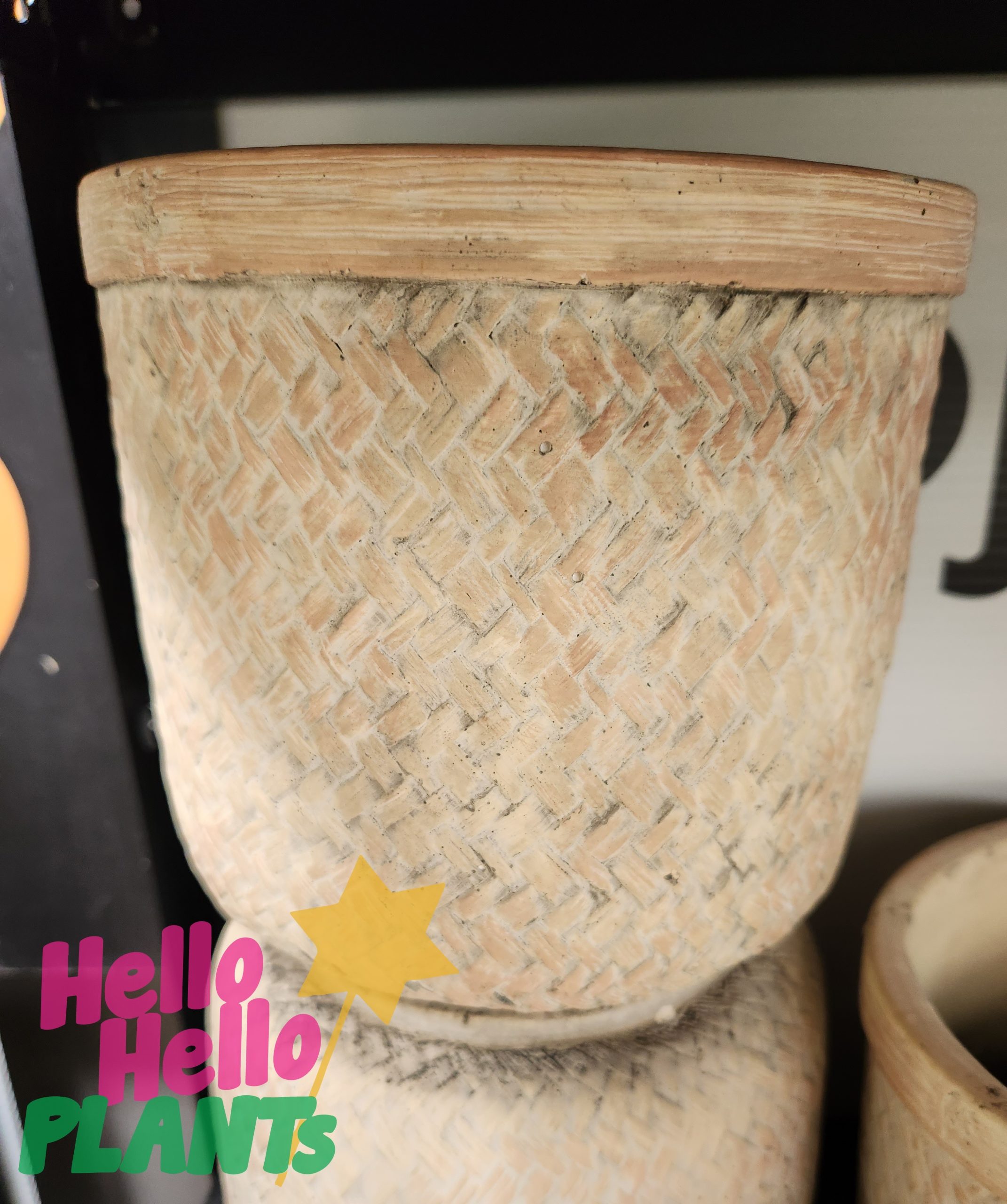 Dart Weave Bowl Coconut coloured with patterns for plants