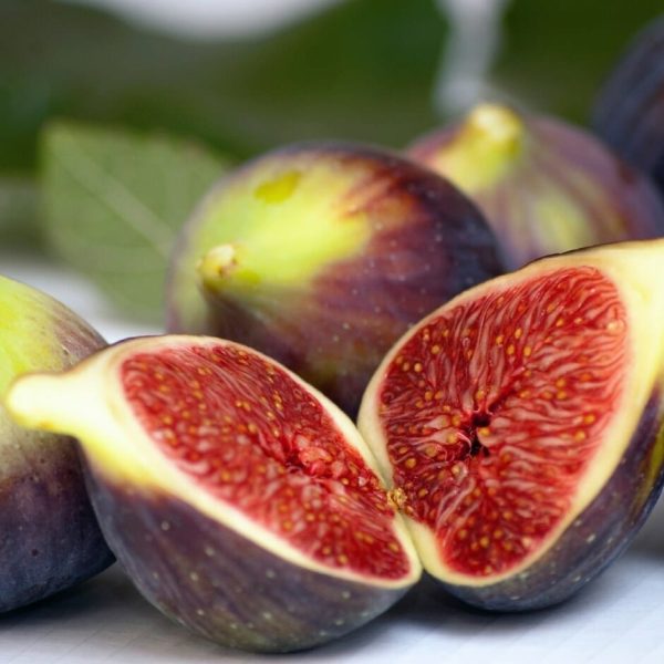 Figs