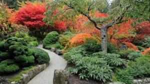 Japanese Garden