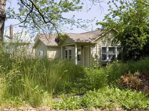 A house surrounded by a lush field.