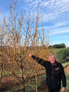 A person standing next to leafless trees in an outdoor setting, touching one of the branches. The sky is partly cloudy, and there's greenery in the background.