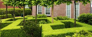 A well-manicured garden with neatly trimmed hedges, small trees, and a brick building in the background.