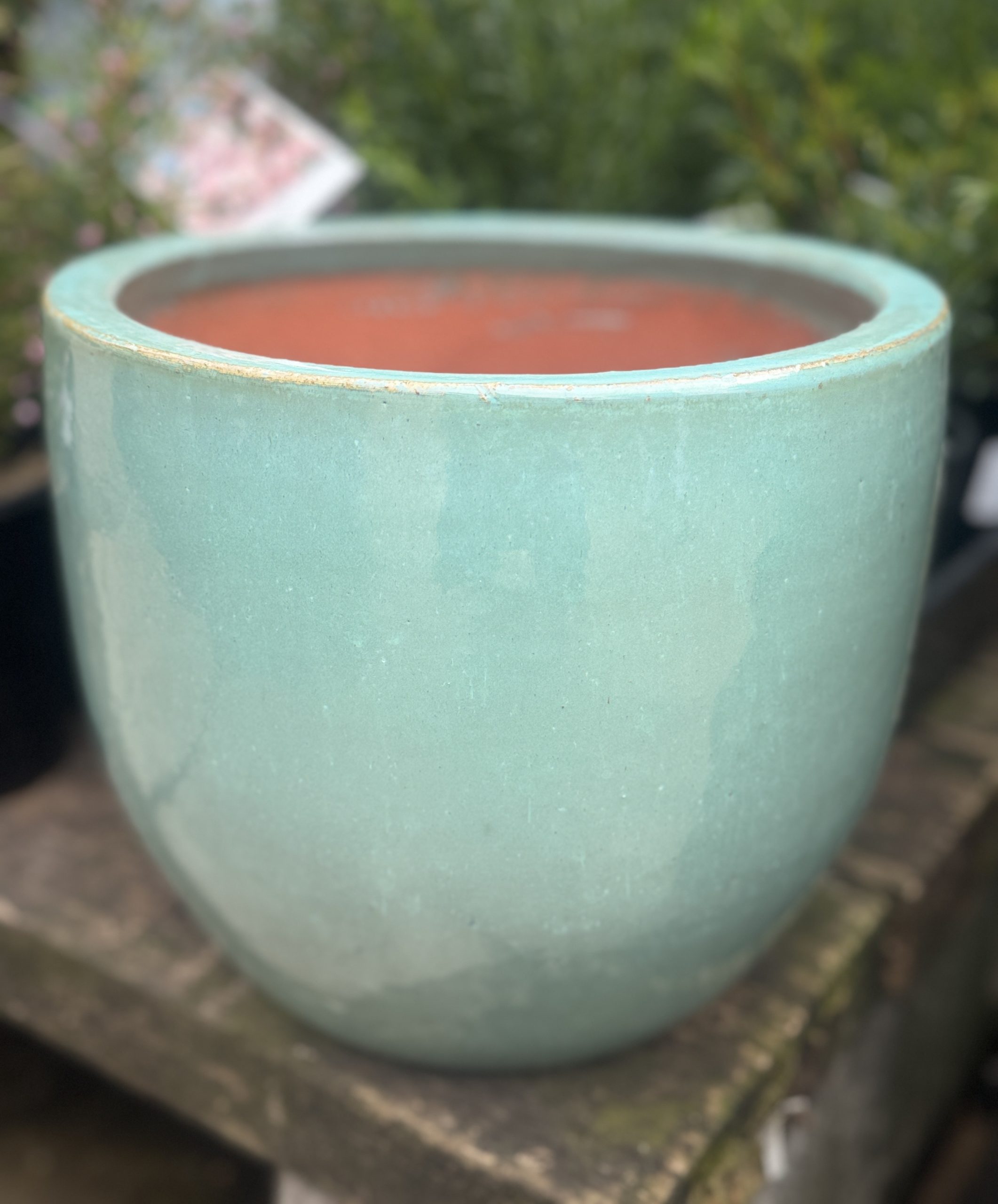 A Glazed Cylinder Moss Green S 20x20cm pot sits on a stone surface, with blurred green foliage in the background.